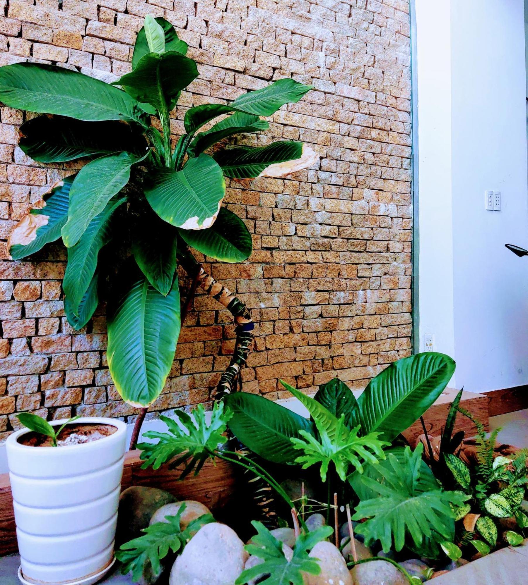 Nap Homestay Kinh Dinh Zewnętrze zdjęcie