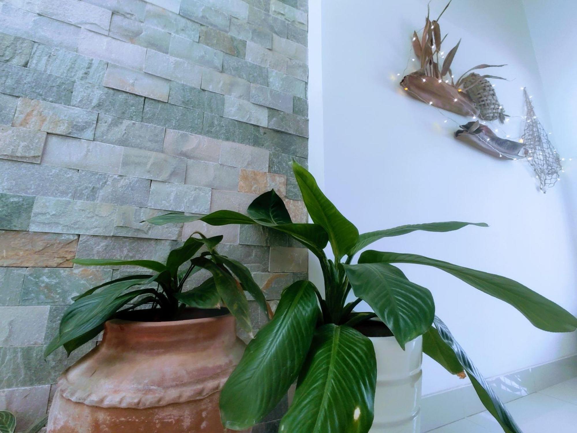 Nap Homestay Kinh Dinh Zewnętrze zdjęcie